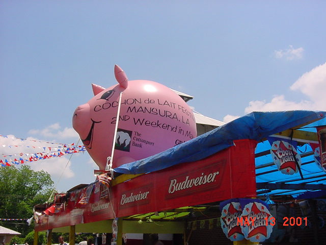 Cochon de Lait   -    Festival